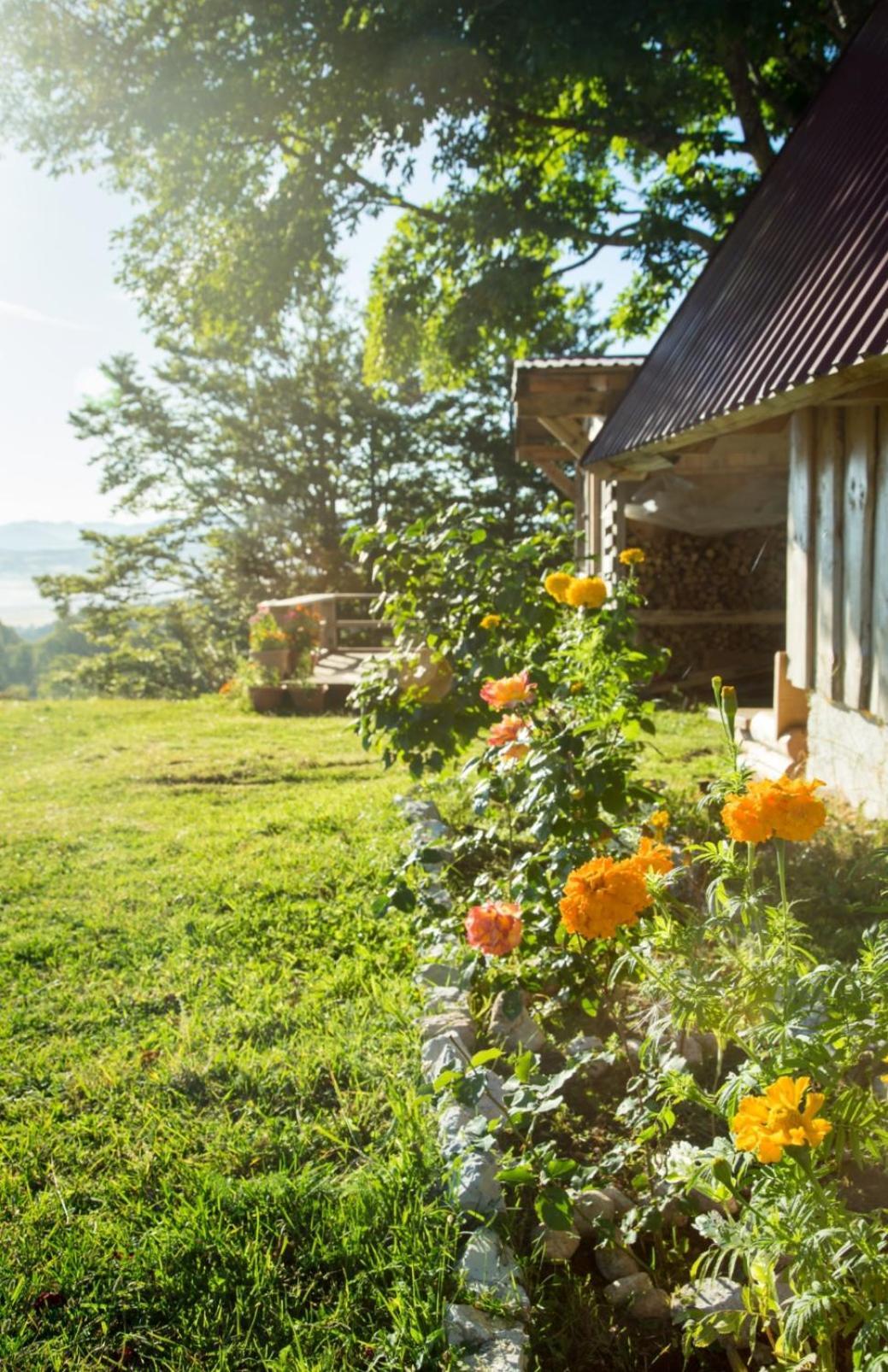 Maple Village Žabljak Buitenkant foto