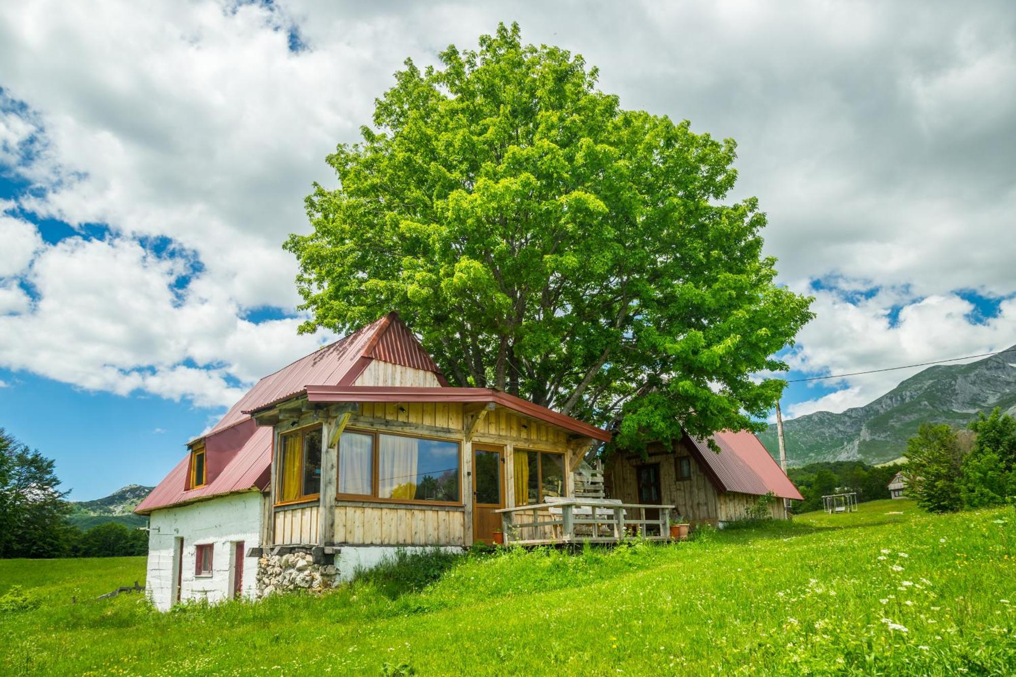Maple Village Žabljak Buitenkant foto